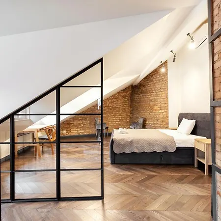 3 Bedroom Duplex Next To The Gates Of Dawn * Вільнюс