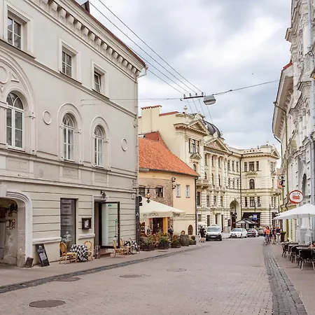 3 Bedroom Duplex Next To The Gates Of Dawn Апартаменти Вільнюс